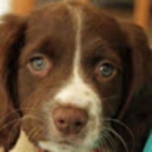 Meet your Posher, Ash